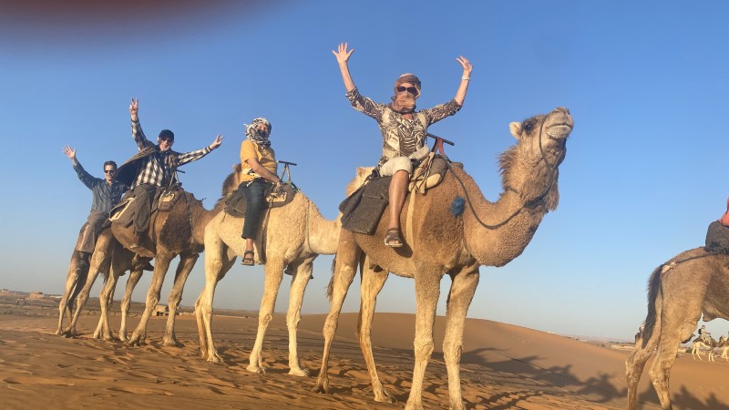 Kamelritt in der Sahara