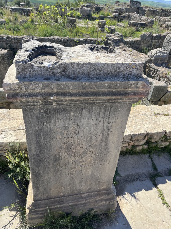 Museum Römische Ausgrabungen Volubilis
