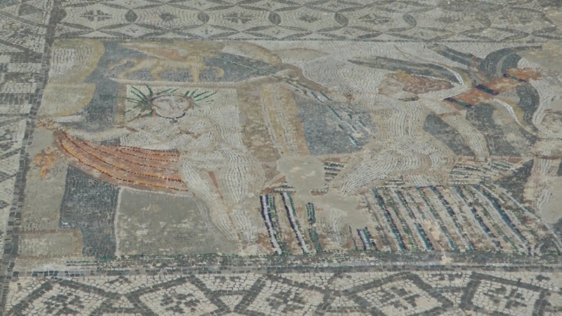 Mosaik Museum Römische Ausgrabungen Volubilis