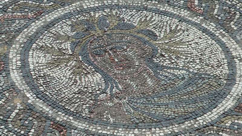 Mosaik Museum Römische Ausgrabungen Volubilis