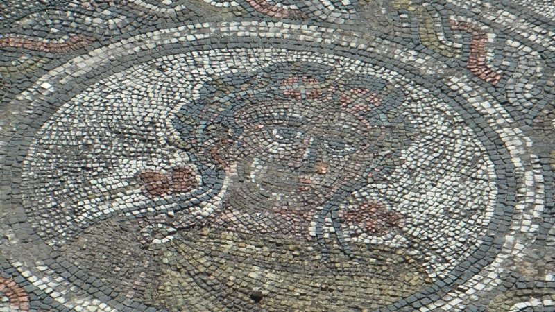Mosaik Museum Römische Ausgrabungen Volubilis