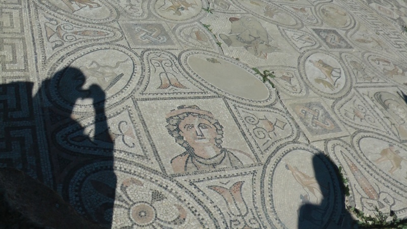 Mosaik Museum Römische Ausgrabungen Volubilis